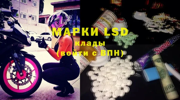 прущие крисы Вяземский