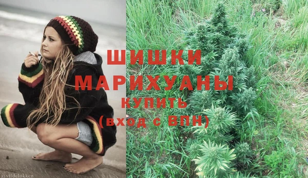 прущие крисы Вяземский